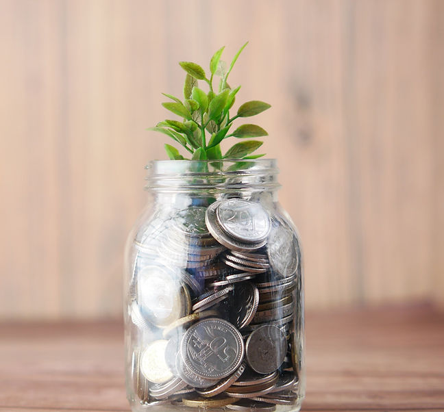 Wealth-Management platform Development