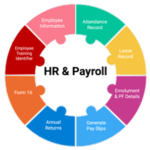 When Should an Organisation Automate Their Payroll? — Everything You Need to know About Automating Payroll
