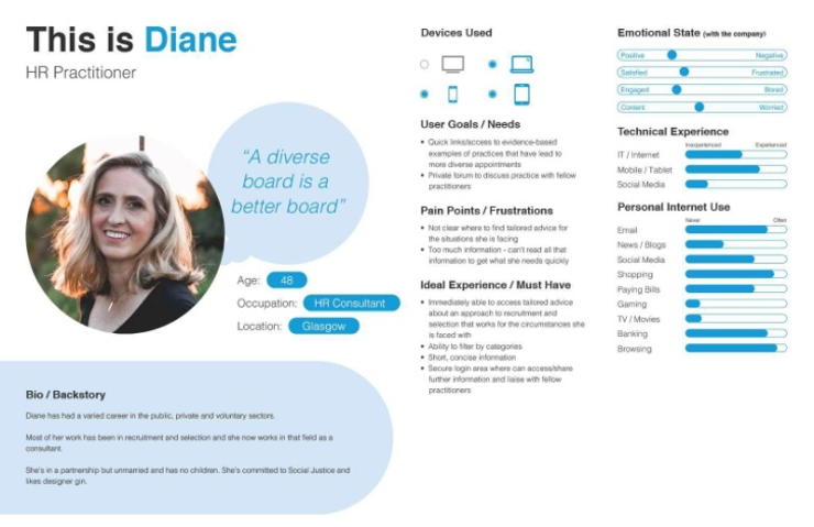 A UX persona card for 'Diane, HR Practitioner', showing her photo, goals, pain points, and internet-use statistics.