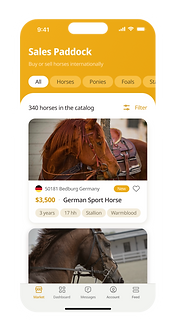 Sales Paddock