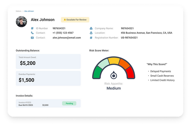 Profile summary with risk meter for Alex Johnson. Outstanding balance: $5,200. Risk: Medium. Reasons: delayed payments, small reserves.